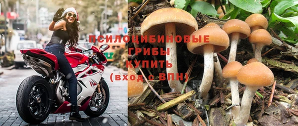 эйфоретик Белоозёрский