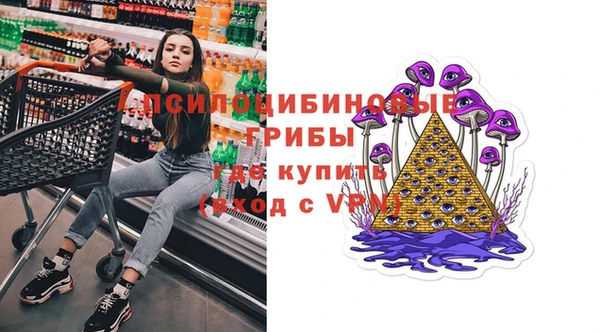 jwh Белокуриха